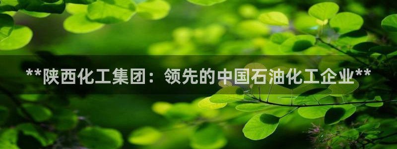 球盟会在线网站