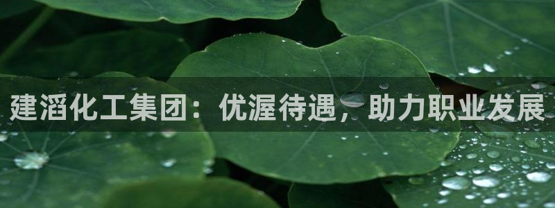 球盟会可以提现么现在