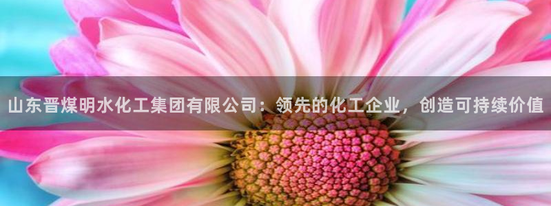 球盟会app入口
