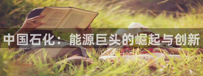 球盟会有没有黑单的活动