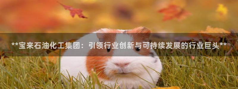 球盟会app