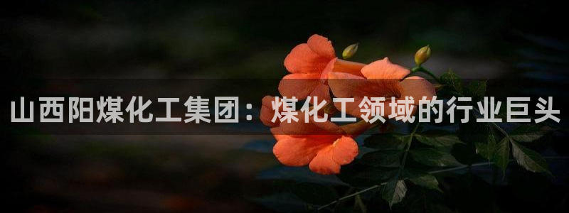 球盟会网址