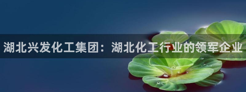 球盟会官方登录平台入口