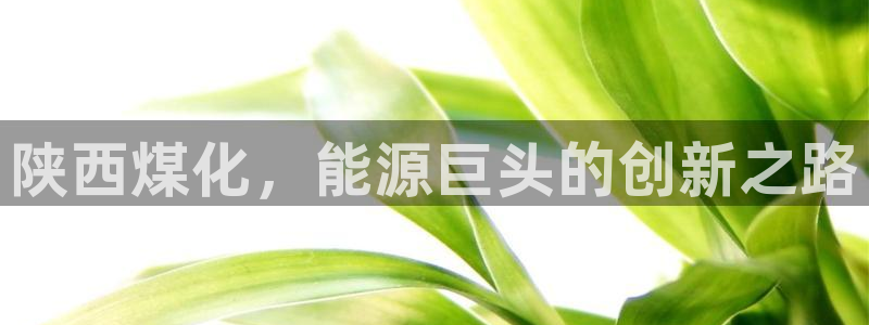 球盟会和中欧合作吗