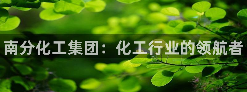 球盟会和中欧会的区别