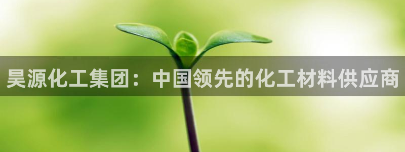 球盟会封号