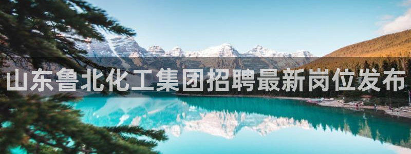 球盟会官网app下载