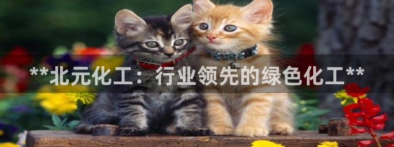 球盟会qm