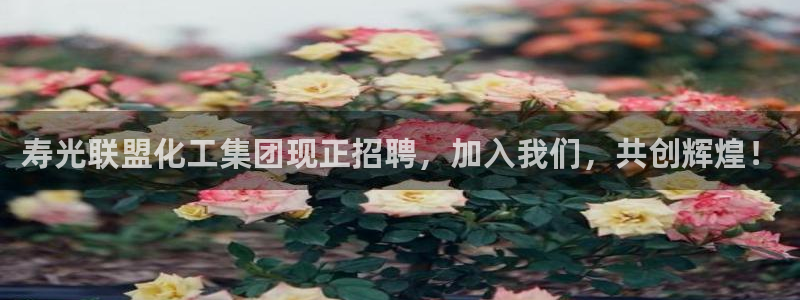 球盟会app入口