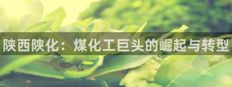 球盟会可靠不