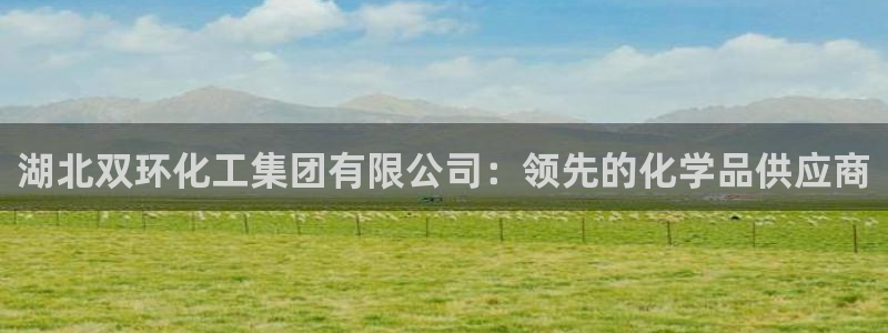 球盟会连接：湖北双环化工集团有限公司：领先的化学品供应商