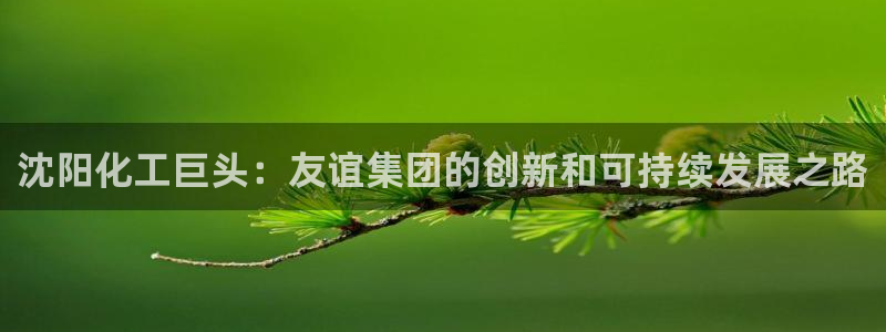 球盟会优惠领取网站是真的吗：沈阳化工巨头：友谊集团的创新和可