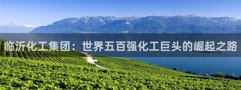 球盟会头号玩家是谁