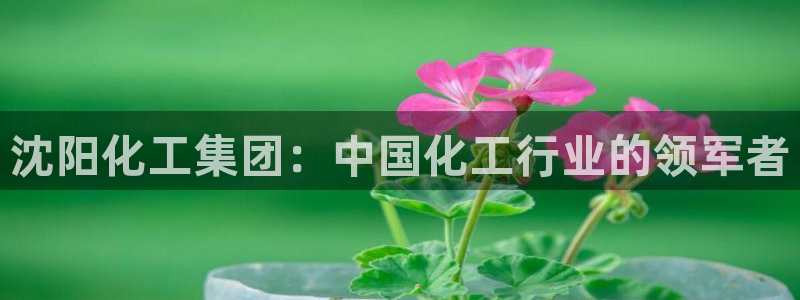 球盟会提款支付宝怎么样