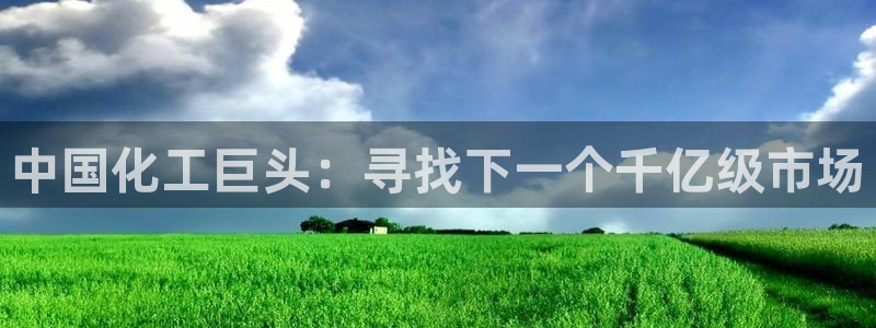 球盟会体育平台：中国化工巨头：寻找下一个千亿级市场