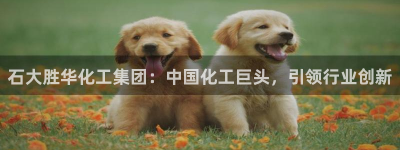 球盟会黑款吗：石大胜华化工集团：中国化工巨头，引领行业创新