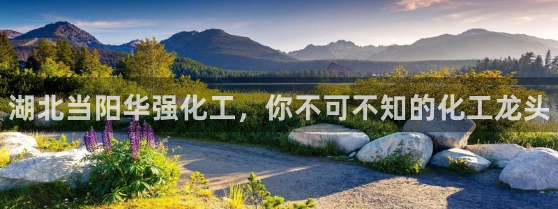 球盟会官方最新入口