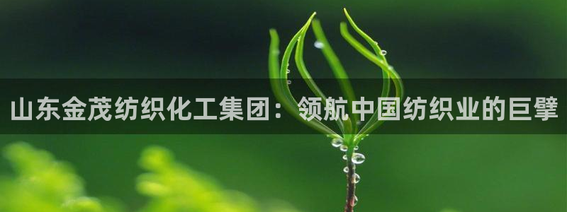球盟会黑台