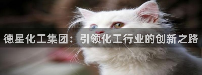 球盟会在线登录