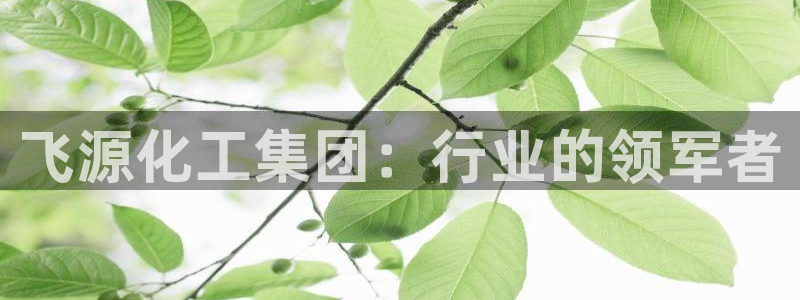 球盟会中国官方网站