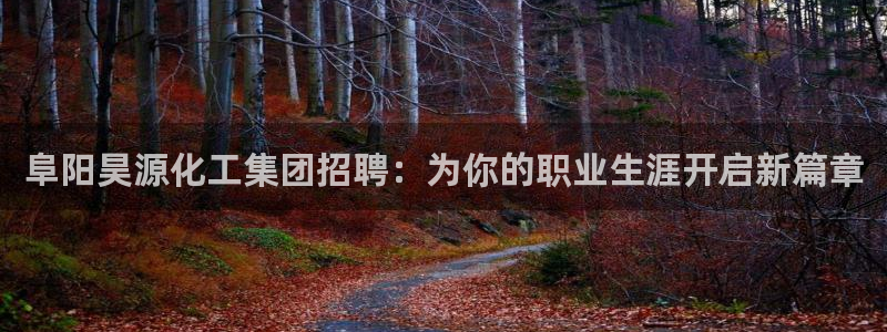 球盟会app手机登录