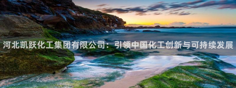 球盟会用的客服聊天是哪个软件：河北凯跃化工集团有限公司：引领