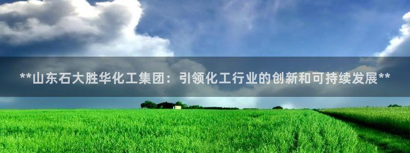 球盟会和中欧会的区别：**山东石大胜华化工集团：引领化工行业