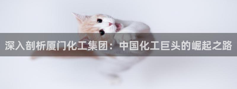 球盟会官网登录入口