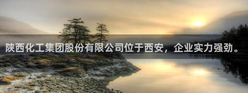 球盟会网址：陕西化工集团股份有限公司位于西安，企业实力强劲。