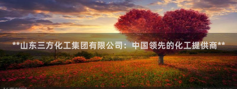 球盟会官方网站入口：**山东三方化工集团有限公司：中国领先的