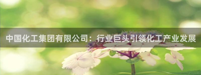 球盟会平台怎么样：中国化工集团有限公司：行业巨头引领化工产业
