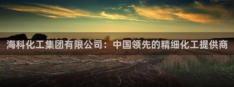 球盟会最新网：海科化工集团有限公司：中国领先的精细化工提供商