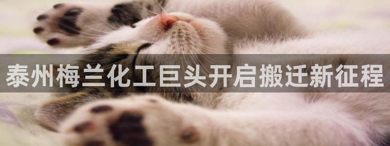 球盟会和中欧