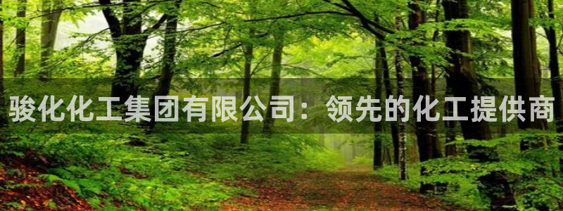 球盟会黑款吗是真的吗：骏化化工集团有限公司：领先的化工提供商