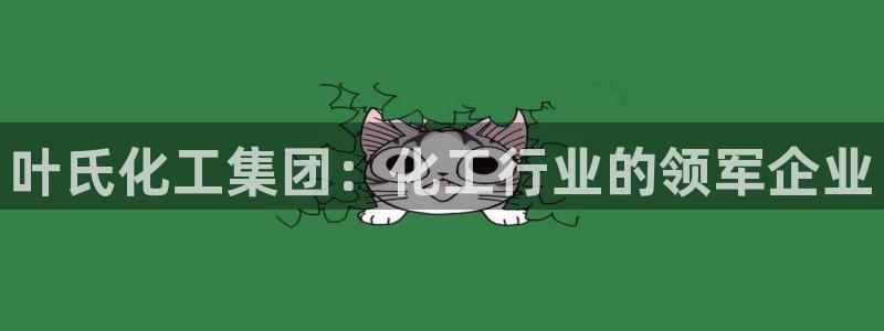 球盟会论坛：叶氏化工集团：化工行业的领军企业