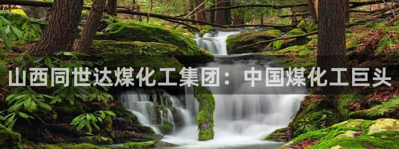 球盟会官方登录平台入口