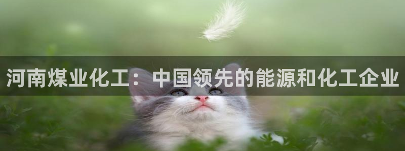 球盟会黑款吗知乎：河南煤业化工：中国领先的能源和化工企业
