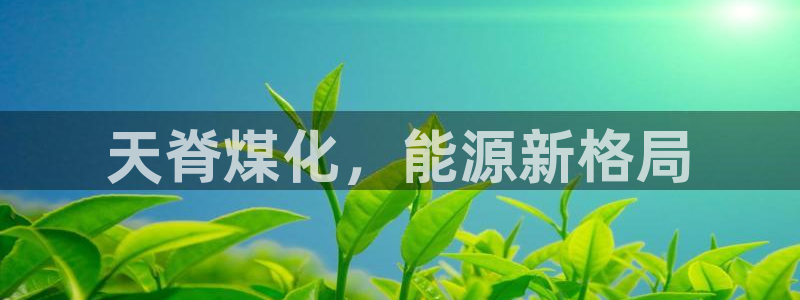 球盟会官方网站app：天脊煤化，能源新格局