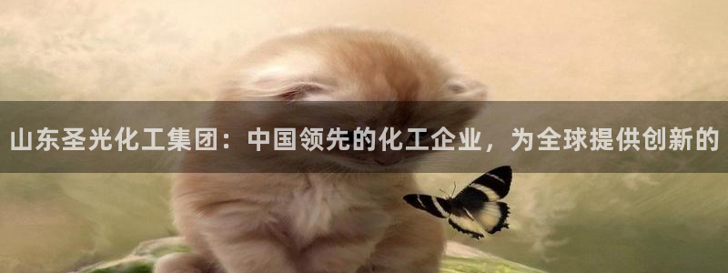 球盟会最新网：山东圣光化工集团：中国领先的化工企业，为全球提