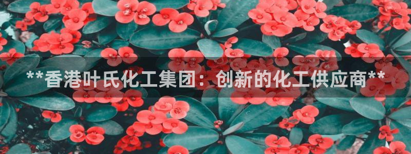 球盟会网址：**香港叶氏化工集团：创新的化工供应商**
