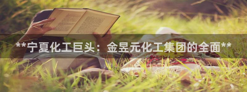 球盟会app最新地址下载安装：**宁夏化工巨头：金昱元化工集