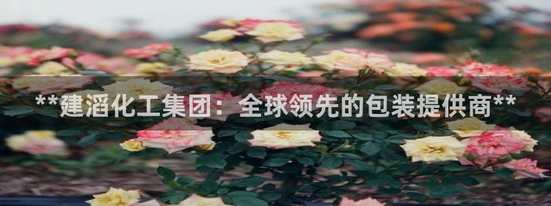 球盟会APP最新地址：**建滔化工集团：全球领先的包装提供商