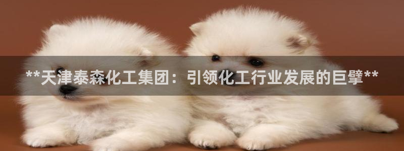 球盟会黑钱
