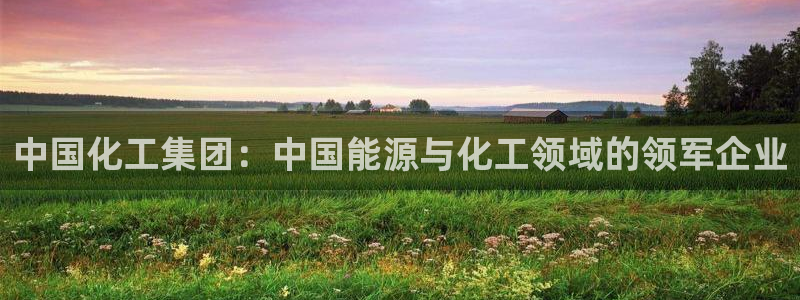 球盟会综合app下载：中国化工集团：中国能源与化工领域的领军