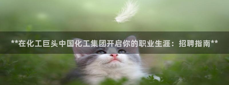 球盟会黑台子：**在化工巨头中国化工集团开启你的职业生涯：招