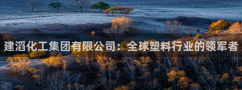 球盟会qm9：建滔化工集团有限公司：全球塑料行业的领军者