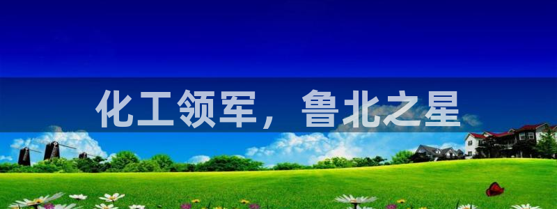 球盟会黑款吗知乎：化工领军，鲁北之星
