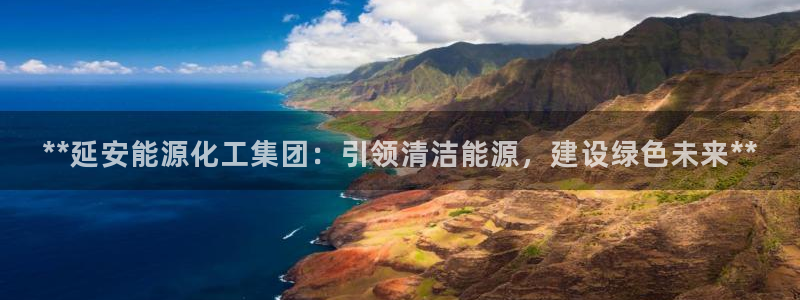 球盟会类似的网站：**延安能源化工集团：引领清洁能源，建设绿