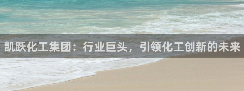 球盟会进不去