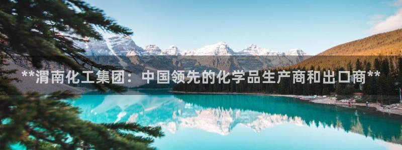 球盟会官方网页登录：**渭南化工集团：中国领先的化学品生产商